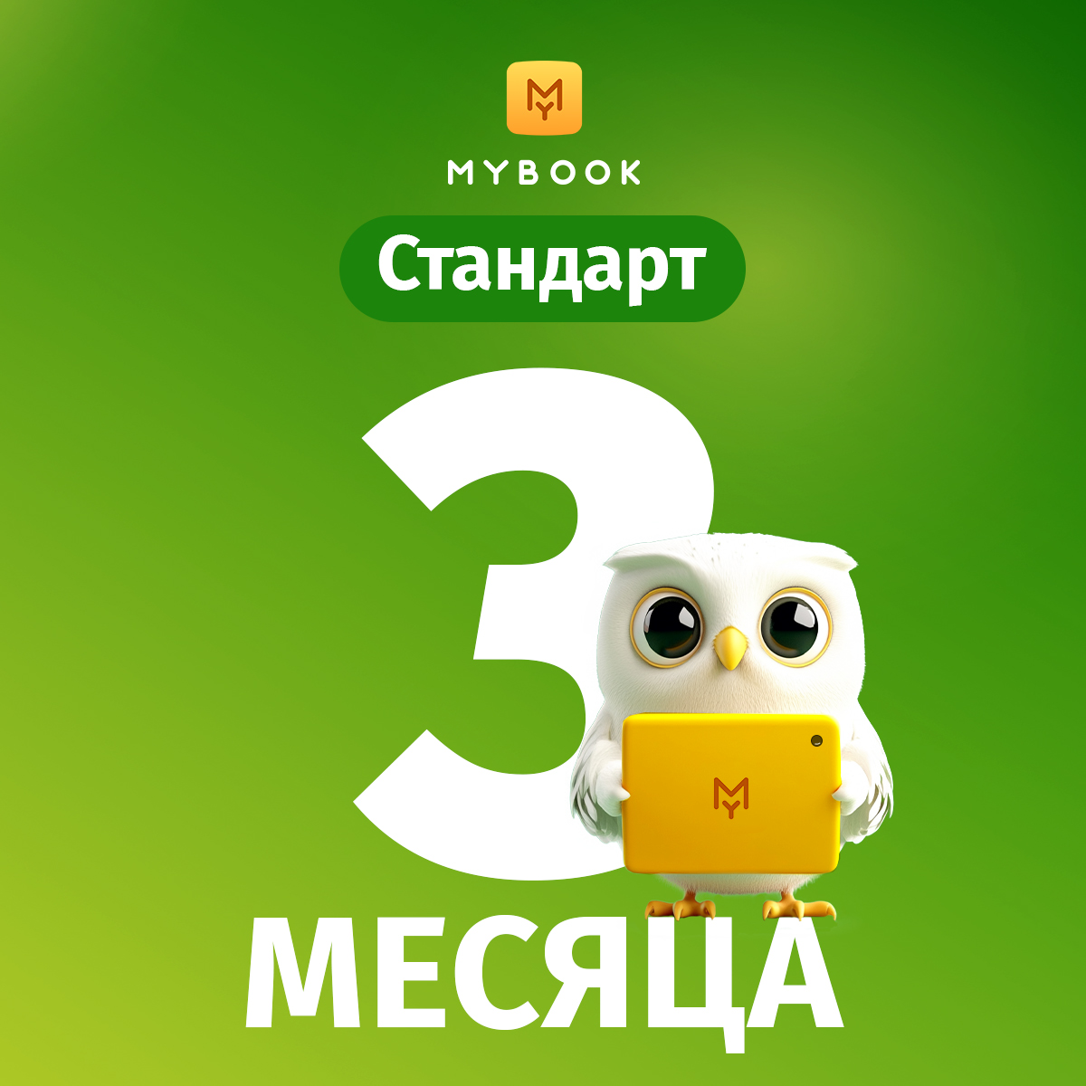 Подарок: стандартная подписка MyBook на 3 месяца